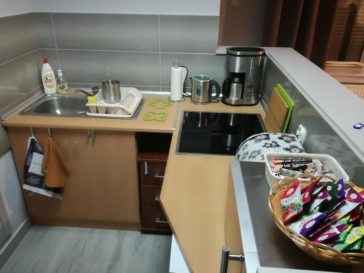 Studio S Appartement Krakau Polen